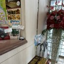 뉴그랜드호텔 | [16개월 아가와 마쓰야마 여행] 일본식 다다미방 가성비 호텔 ‘마쓰야마 뉴 그랜드 호텔‘