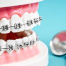 심플란트치과의원 이미지