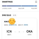 대일종합카 | 2박3일 여름 일본 오키나와 가족여행 자유일정 코스 준비물