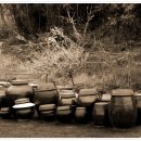 석천농장 이미지