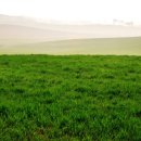 안성연수원 이미지