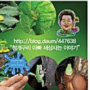 조리농업협동조합 이미지