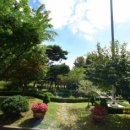 포곡어린이공원 이미지