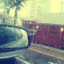 비야비야 이미지