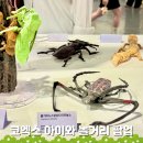 삼성동-04 | 삼성동 아이와 갈만한곳 실내놀거리, 코엑스 종이접기 페스티벌 오리가미 뜻과 주차 꿀팁