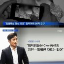 다희연가 이미지