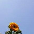 해진농장 이미지