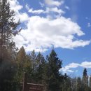 Walloper Lake Provincial Park 이미지