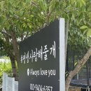 평생 사랑해 줄 개 애견펜션1 | 애견동반 수영장 숙소 태안 평생사랑해줄개 애견펜션 잔디 마당
