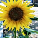 상리체육공원 이미지