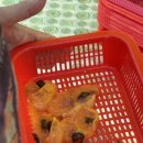 새골민박 이미지