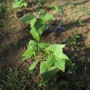 요제농장 이미지