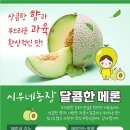 시우네농장 이미지