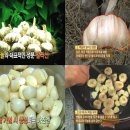 천기누설