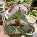 목포 활어회 찐 맛집 추천! 목포 로컬맛집, 해원횟집 내돈내먹 후기