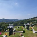 나비온 주식회사
