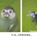 마리스튜디오 이미지