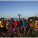 철탑목장 이미지