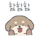 멍줍 강아지 산책 유치원 네이버블로그