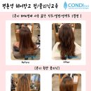 비바헤어