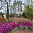 가현어린이공원 이미지