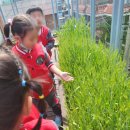 등촌유치원 이미지