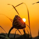 삶 - 그 언저리 이미지