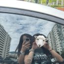 아주커치킨 첨단3점 | 광주 챔필로 두린이 출격 ⚾️