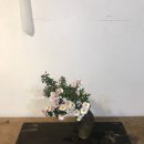 쓰는 마음 이미지