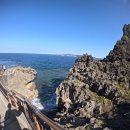 오늘도푸른 | 오키나와 푸른동굴 스노쿨링 투어 1월 찐 후기