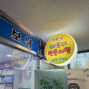 보물섬어린이집 | 대구어린이서점 보물섬 Feat. 책육아 상담받고 구매한 후기