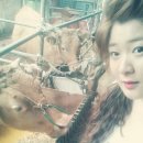 철마한우1번지 | [우림 철마한우마을]부산기장 철마 한우 맛집 솔직후기~