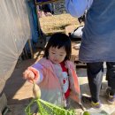 부산발도르프협동조합 이미지