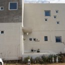 오조숙녀sea 이미지