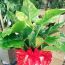 글나라어린이집 이미지