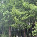 전주 근교 캠핑장 민들레동산힐링센터 오토캠핑장 후기
