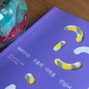 삐삐언니 네이버블로그