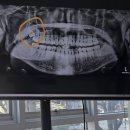 이화그린약국 이미지