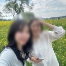[임신일기] 4월 만삭사진 육아휴직 시작 남편과 서울 여행 (31주~35주)