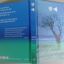 서사분교 | 귀거래사(歸去來辭)ᆞ359 : 무명(無明)에서 무아(無我)로 ㅡ 황석영 소설 '할매'