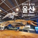 대왕고래 화장실 | 울산여행 아이와함께 장생포 고래박물관 패키지권으로 더 알뜰하게 놀기 꿀팁(4D영상관 불포함)