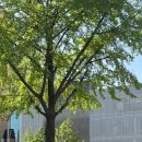 강남대로95길 48-39 이미지