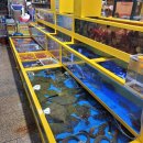 진영이네조개구이 | 10개월 아기랑 속초 여행 ｜강릉 속초 아기와 갈만한 곳 추천