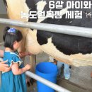 성공목장 | 1년 만에 겨우 예약 성공! 6살 아이와 농도원목장 낙농체험 후기