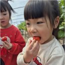 민들레재능어린이집 | 아이들의 꿈을 키우는 안전한 보금자리, 진주어린이집 민들레재능어린이집 소개