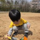 와우농장 네이버블로그