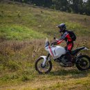 대상투어 이미지