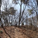 성왕산등산로 이미지