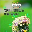 화신다발