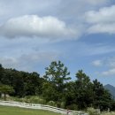 모동모동 | 대구 구미 대전근교 두돌 아이랑 갈만한곳 모동목장 동물 먹이주기 후기